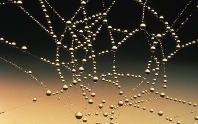 Leading in Complexity