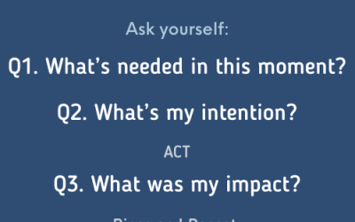 Leadership in Practice