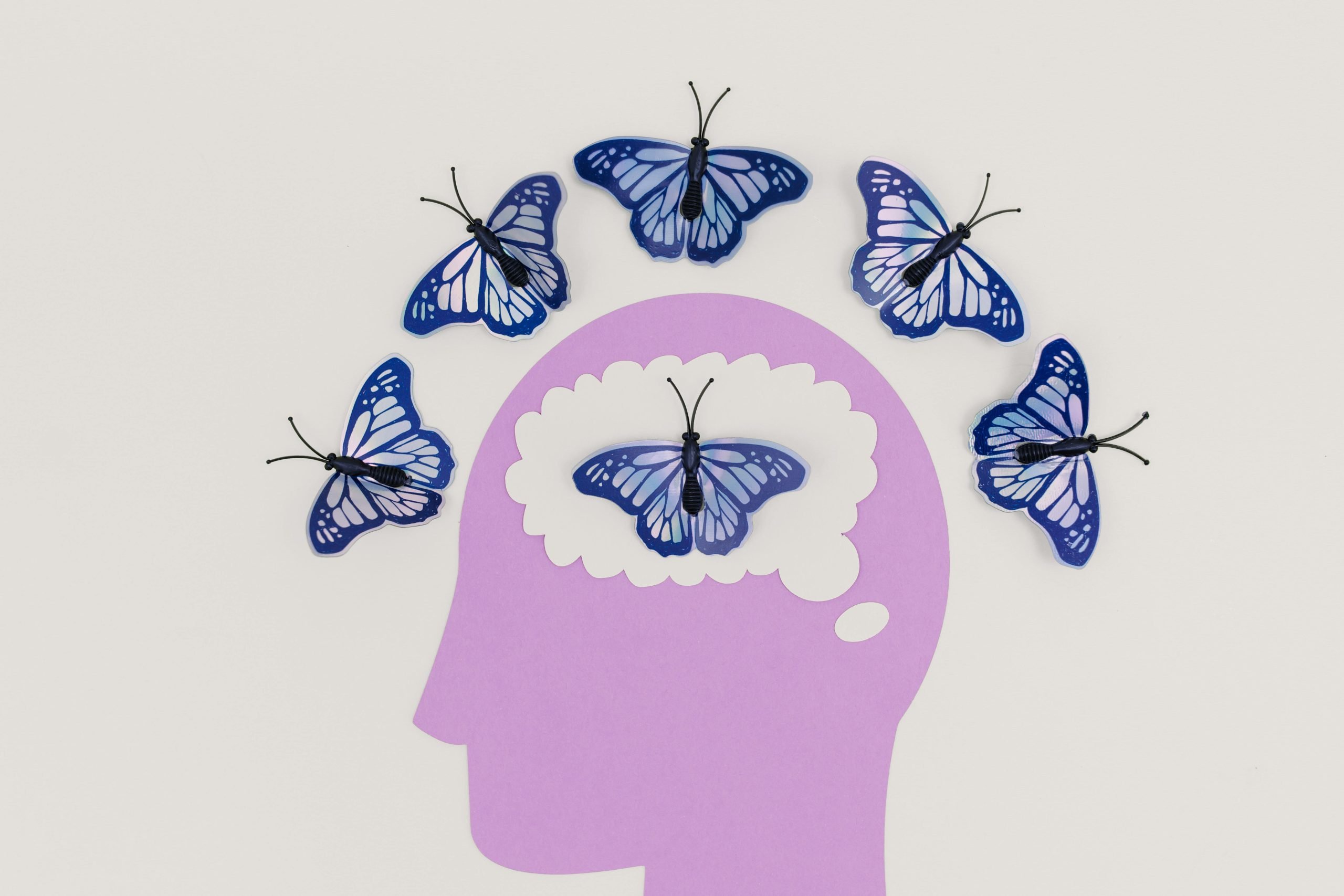 The mind and butterflies represent mind wandering.
