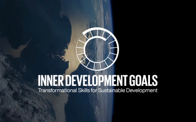 Leadership Development for Soulful Organisations